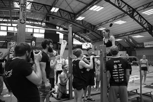 开云LOL-“2025世界游泳锦标赛：水上芭蕾精彩纷呈，艺术之美与竞技并行”