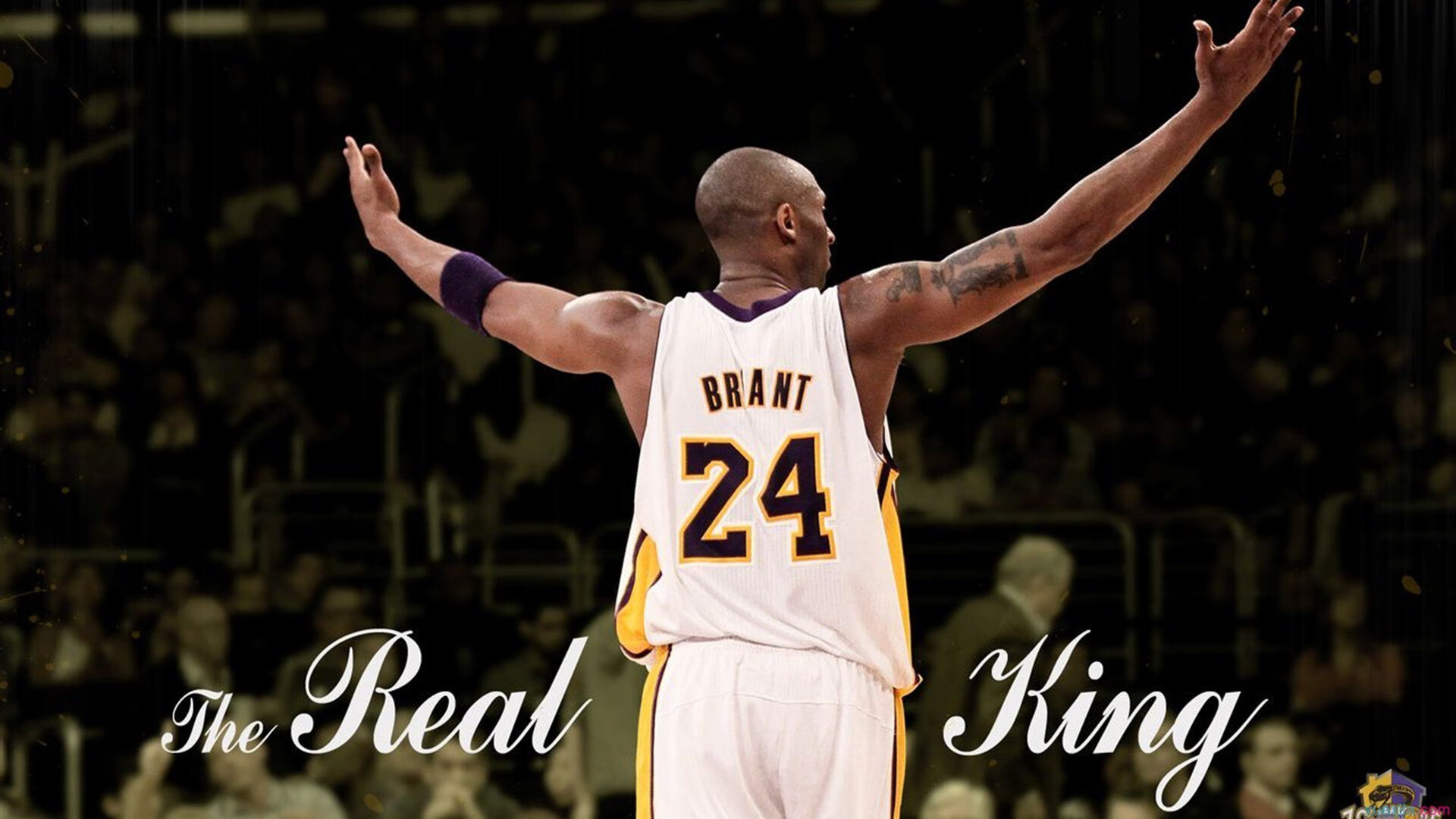 世界体操单项赛赛场人员调度系统优化上线，世界体操协会